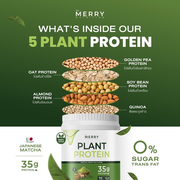 A clean, educational ad creative that visually displays the five plant-based protein sources through a layered, deconstructed product image.
